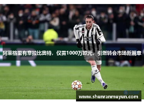 阿莱格里有意拉比奥特，仅需1000万欧元，引燃转会市场新篇章